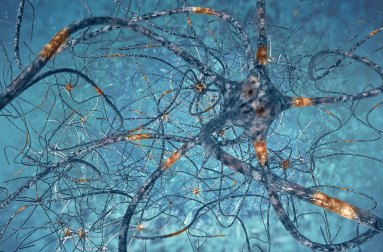 animated neural network