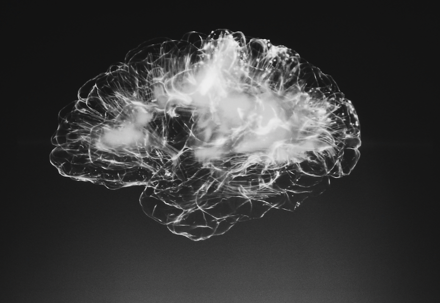 A black and white image of a brain.