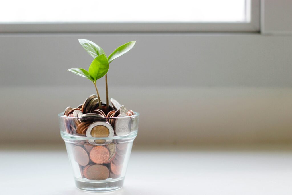 clear glass filled with coins and a single plant sprouting in the middle